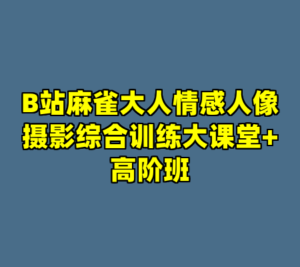 B站麻雀大人情感人像摄影综合训练大课堂+高阶班-cc资源站