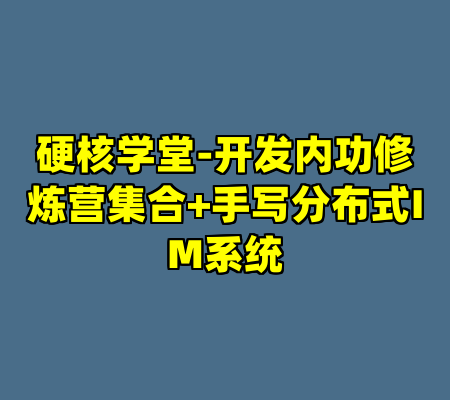 硬核学堂-开发内功修炼营集合+手写分布式IM系统