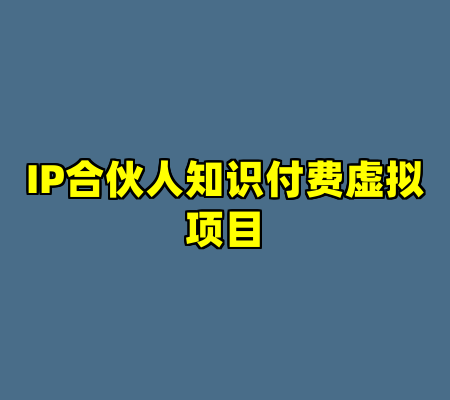 IP合伙人知识付费虚拟项目