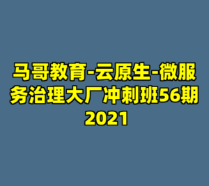 马哥教育-云原生-微服务治理大厂冲刺班56期 2021-cc资源站