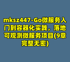 mksz447-Go微服务入门到容器化实践，落地可观测微服务项目(9章完整无密)-cc资源站