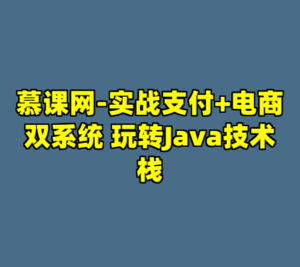 慕课网-实战支付+电商双系统 玩转Java技术栈-cc资源站