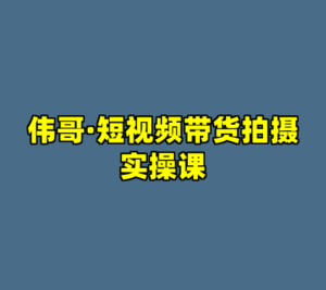 伟哥·短视频带货拍摄实操课-cc资源站