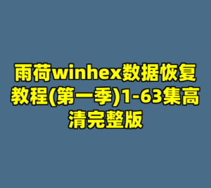雨荷winhex数据恢复教程(第一季)1-63集高清完整版-cc资源站