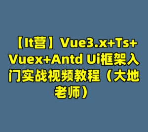 【It营】Vue3.x+Ts+Vuex+Antd Ui框架入门实战视频教程（大地老师）-cc资源站