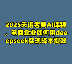 2025天诺老吴AI课程，电商企业如何用deeepseek实现降本提效-cc资源站