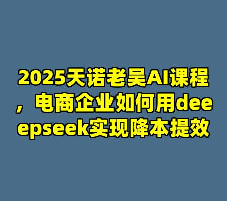 2025天诺老吴AI课程，电商企业如何用deeepseek实现降本提效
