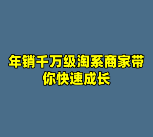 年销千万级淘系商家带你快速成长-cc资源站