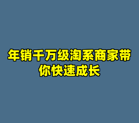 年销千万级淘系商家带你快速成长