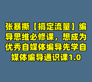 张暴撕【搞定流量】编导思维必修课，想成为优秀自媒体编导先学自媒体编导通识课1.0-cc资源站