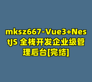 mksz667-Vue3+NestJS 全栈开发企业级管理后台[完结]-cc资源站