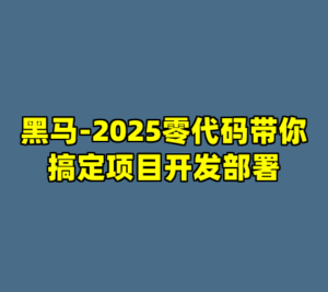 黑马-2025零代码带你搞定项目开发部署-cc资源站