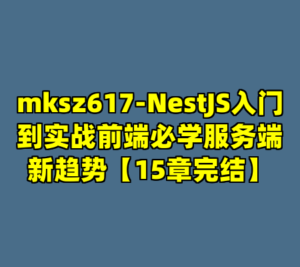 mksz617-NestJS入门到实战前端必学服务端新趋势【15章完结】-cc资源站