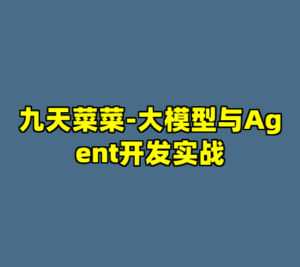 九天菜菜-大模型与Agent开发实战-cc资源站