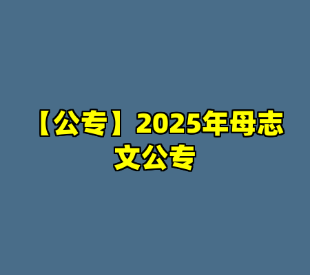 【公专】2025年母志文公专