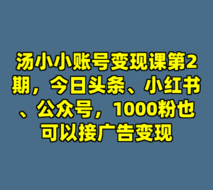 汤小小账号变现课第2期，今日头条、小红书、公众号，1000粉也可以接广告变现-cc资源站