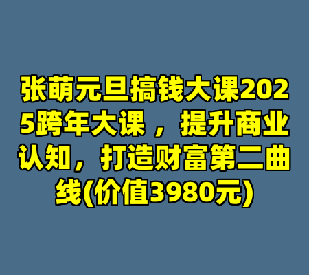 张萌元旦搞钱大课2025跨年大课 ，提升商业认知，打造财富第二曲线(价值3980元)