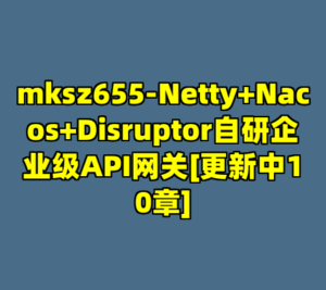 mksz655-Netty+Nacos+Disruptor自研企业级API网关[更新中10章]-cc资源站