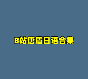 B站唐盾日语合集-cc资源站