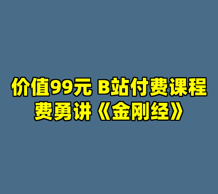 价值99元 B站付费课程 费勇讲《金刚经》