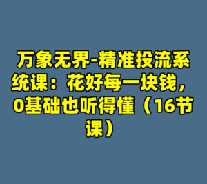 万象无界-精准投流系统课：花好每一块钱，0基础也听得懂（16节课）-cc资源站