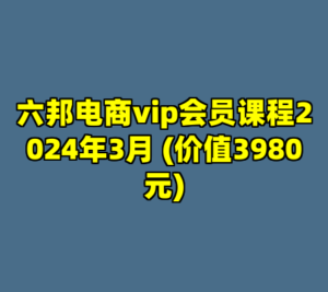 六邦电商vip会员课程2024年3月 (价值3980元)-cc资源站