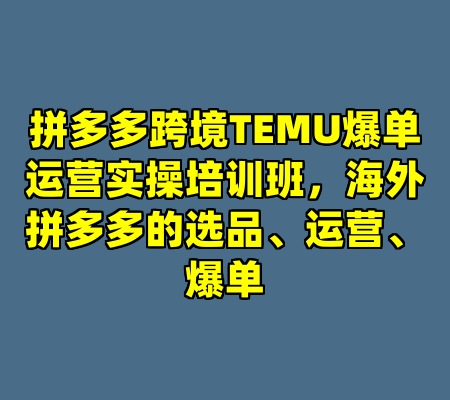 拼多多跨境TEMU爆单运营实操培训班，海外拼多多的选品、运营、爆单