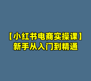 【小红书电商实操课】新手从入门到精通-cc资源站