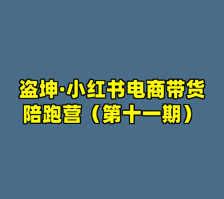 盗坤·小红书电商带货陪跑营（第十一期）
