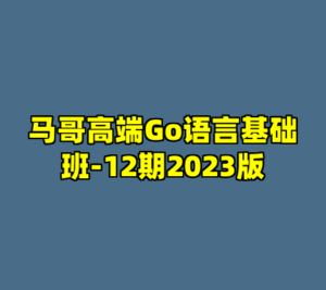 马哥高端Go语言基础班-12期2023版-cc资源站