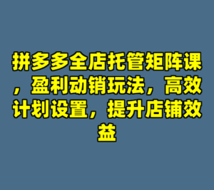 拼多多全店托管矩阵课，盈利动销玩法，高效计划设置，提升店铺效益-cc资源站