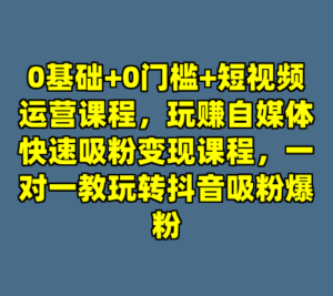 0基础+0门槛+短视频运营课程，玩赚自媒体快速吸粉变现课程，一对一教玩转抖音吸粉爆粉-cc资源站