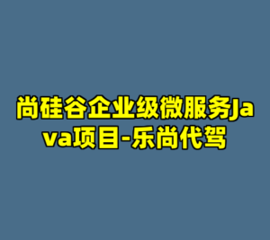 尚硅谷企业级微服务Java项目-乐尚代驾-cc资源站