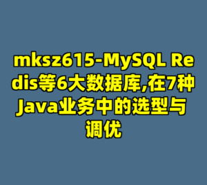 mksz615-MySQL Redis等6大数据库,在7种Java业务中的选型与调优-cc资源站