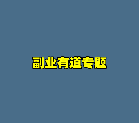 副业有道专题