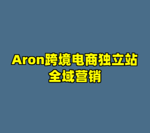 Aron跨境电商独立站全域营销-cc资源站