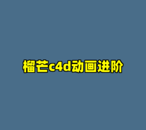 榴芒c4d动画进阶-cc资源站