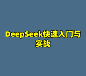 DeepSeek快速入门与实战-cc资源站
