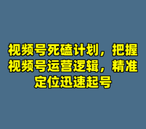 视频号死磕计划，把握视频号运营逻辑，精准定位迅速起号-cc资源站