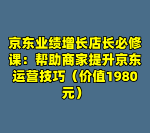 京东业绩增长店长必修课：帮助商家提升京东运营技巧（价值1980元）-cc资源站