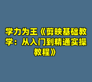 学力为王《剪映基础教学：从入门到精通实操教程》-cc资源站