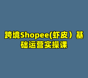 跨境Shopee(虾皮）基础运营实操课-cc资源站