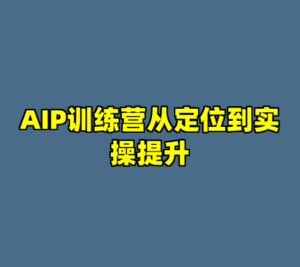 AIP训练营从定位到实操提升-cc资源站