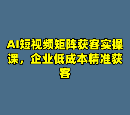 AI短视频矩阵获客实操课，企业低成本精准获客