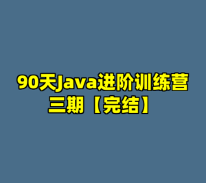 90天Java进阶训练营三期【完结】-cc资源站