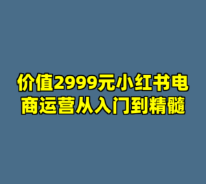 价值2999元小红书电商运营从入门到精髓-cc资源站
