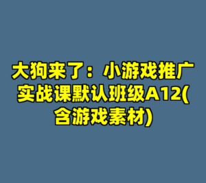 大狗来了：小游戏推广实战课默认班级A12(含游戏素材)-cc资源站