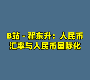 B站 - 翟东升：人民币汇率与人民币国际化-cc资源站