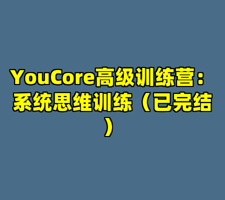 YouCore高级训练营：系统思维训练（已完结）