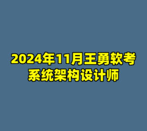 2024年11月王勇软考系统架构设计师-cc资源站